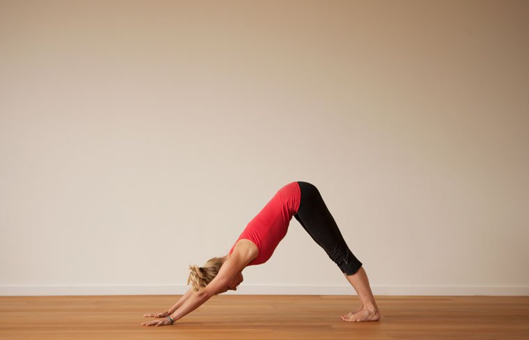 Downward facing dog pose