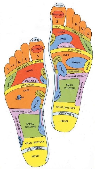 Foot reflexology map