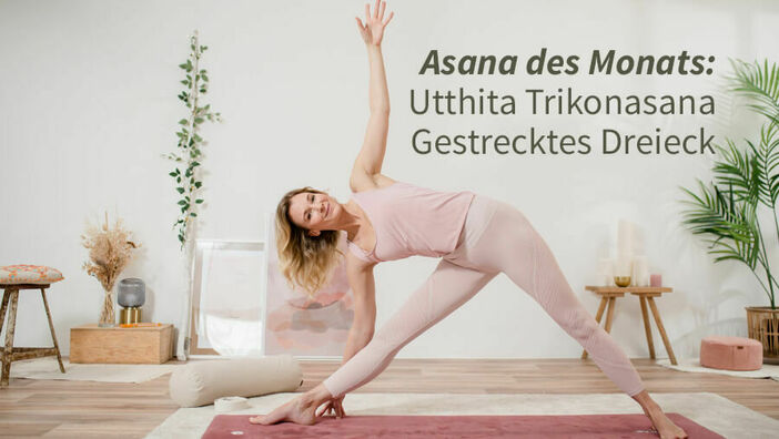 gestrecktes Dreieck Utthita Trikonasana