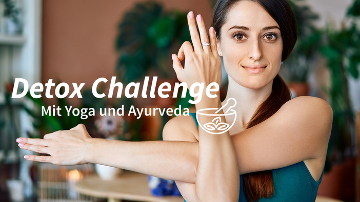 Detox Challenge 2017 Ernährungskonzept