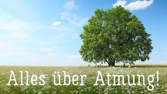 Alles über Atmung