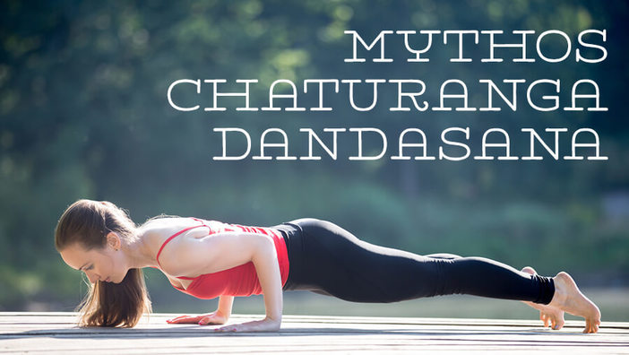 Chaturanga Dandasana – Stock- oder Bretthaltung
