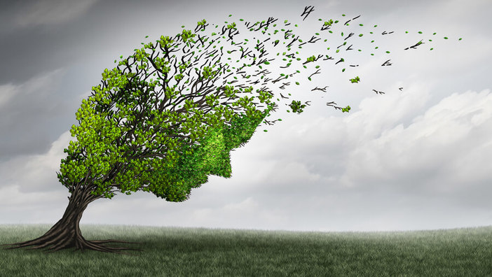 Yoga traumasensitiv unterrichten