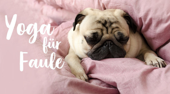 Ich mach' nur den Hund: Minimalistisch oder faul?