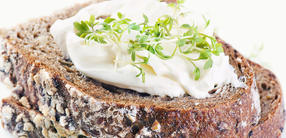 Vollkornbrot mit Gemüse und Würzquark