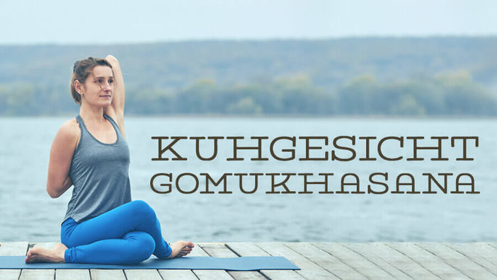 Gomukhasana Kuhgesicht Asana des Monats