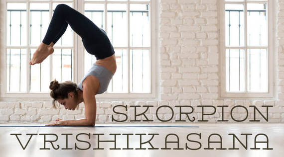Asana des Monats: Der Skorpion – Vrishikasana