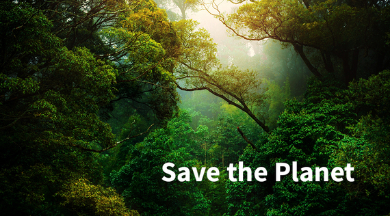 Unsere besten Klimaschutz-Tipps