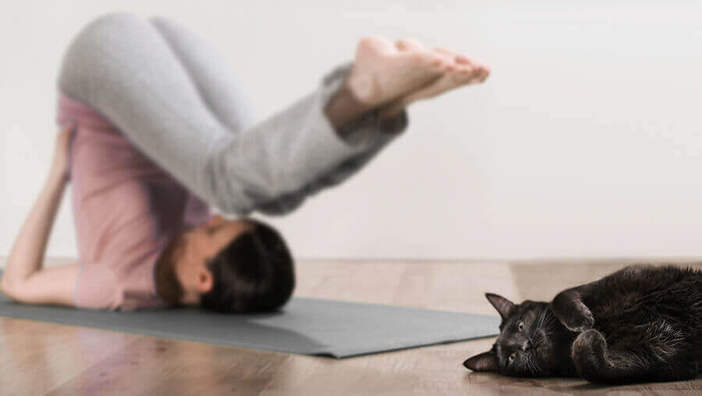 Lebe dein Dharma – die Bestimmung deines Daseins