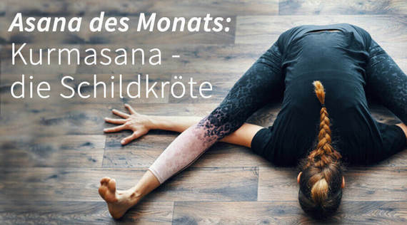 Asana des Monats: Kurmasana – die Schildkröte