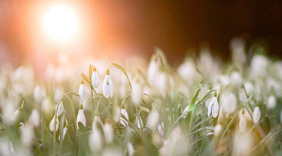 Die Jahreszeiten aus Sicht der tibetischen Lehre
