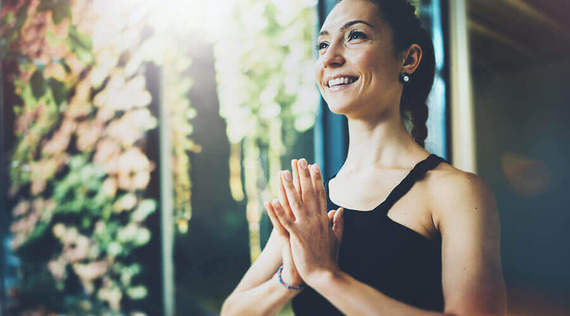 Wie Leber und Galle für mehr Lebensenergie sorgen