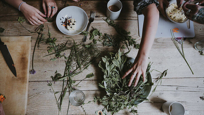Tibetische Kräuter: Natürliche Hilfe für die Leber