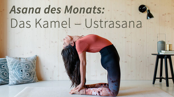 Asana des Monats: Ustrasana – das Kamel