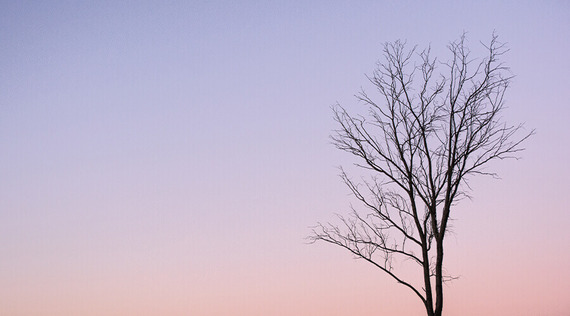 Yoga und der Tod: Das Geschenk der Vergänglichkeit