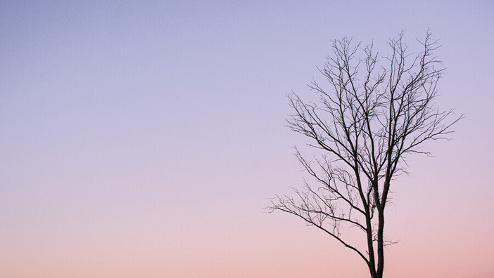 Yoga tod vergaenglichkeit