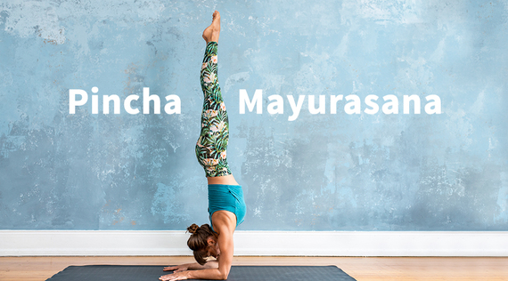Asana des Monats: Der Unterarmstand