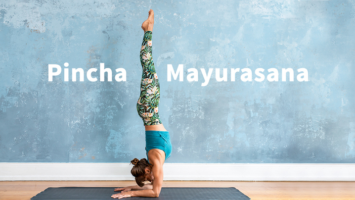 Asana des Monats: Der Unterarmstand