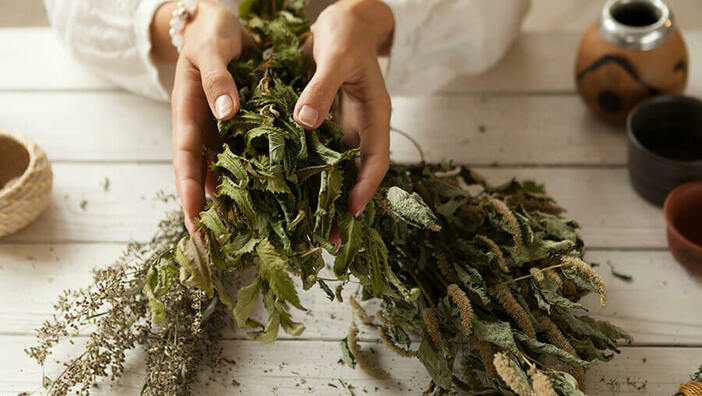 Ayurvedische Heilkräuter