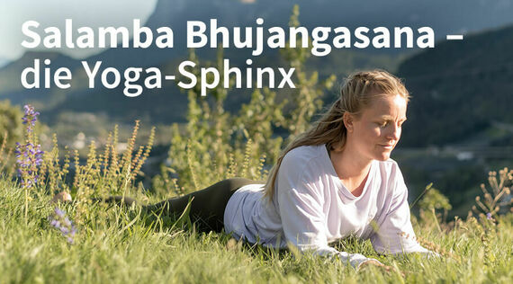 Salamba Bhujangasana: Die wohltuende Yoga-Sphinx  