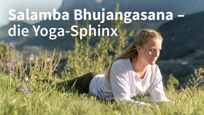 Yoga-Sphinx – Salamba Bhujangasana
