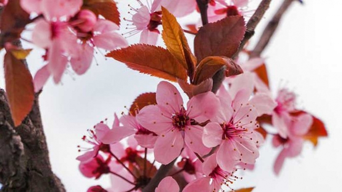 Stress management tips