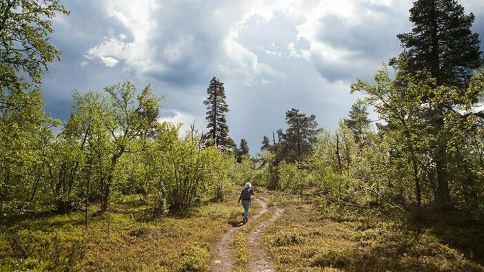 From pilgrimage to walking meditation