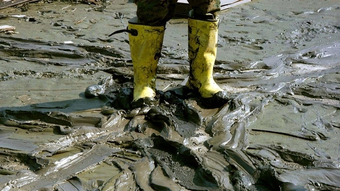 4 Ayurvedic tips to clear congestion