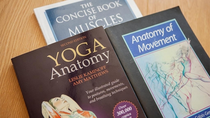 A beginners' guide to anatomy terms