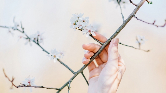 Ayurvedic Springtime routines