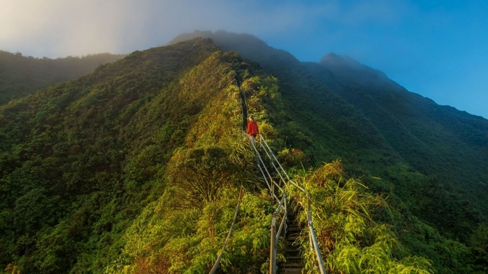 The 4 Paths of Yoga: A Journey to Self-Realization