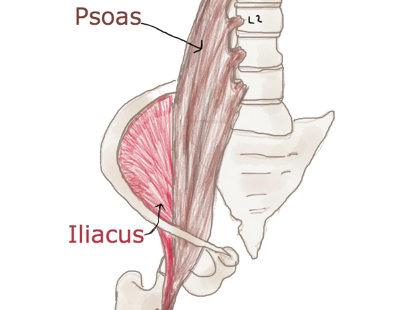 Yoga for the psoas - stretch, release and tone