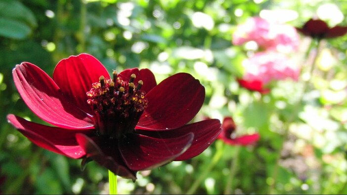 Acupressure and Marma points for Springtime wellbeing