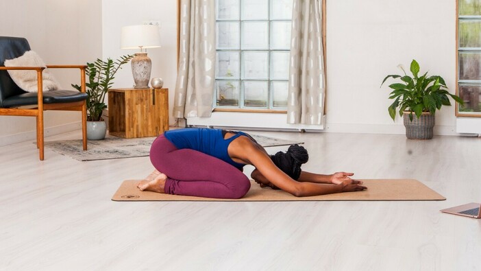 Third eye chakra or Ajna chakra