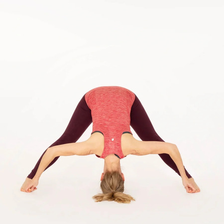 Wide Legged Forward Bend D | Prasarita Padottanasana D