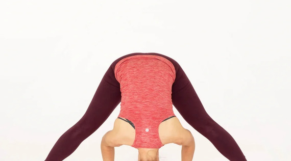 Wide Legged Forward Bend | Prasarita Padottanasana