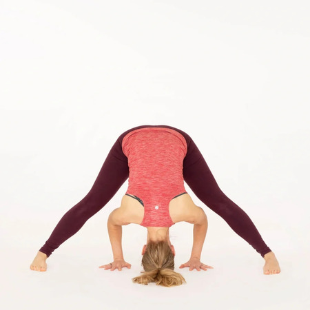 Wide Legged Forward Bend | Prasarita Padottanasana