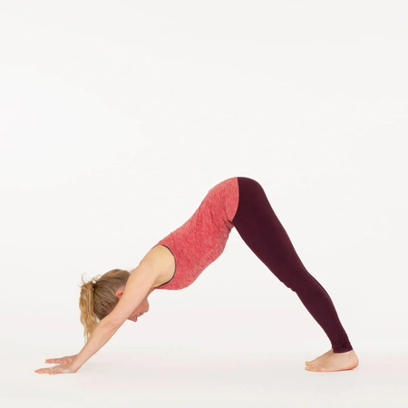 Downward-Facing Dog: Alignment & Benefits