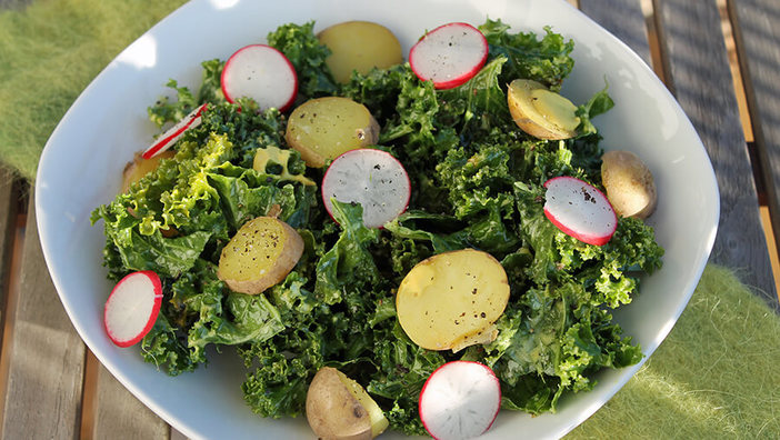 Rezept: Grünkohl-Kartoffel-Salat mit Radieschen