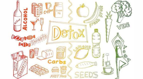 Übersäuerung: Auf Leber und Nieren geprüft