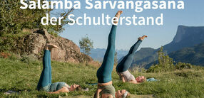 Schulterstand – Salamba Sarvangasana