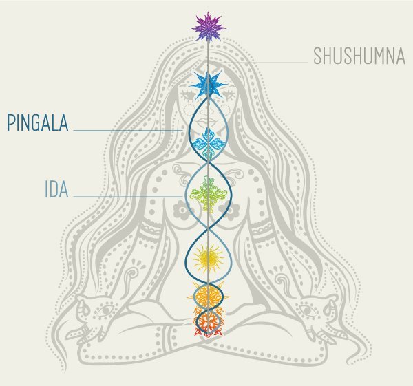 Kundalini Yoga Illustration: Chakren, Ida, Pingala, Sushumna