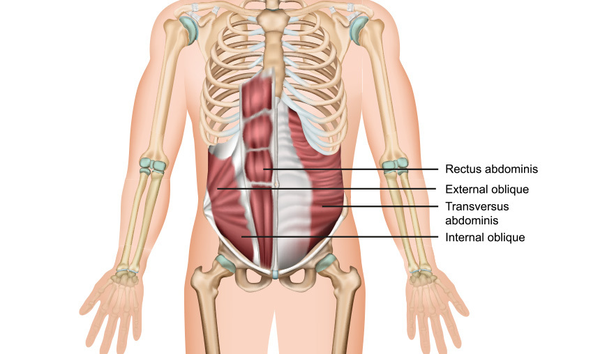Core Muskulatur