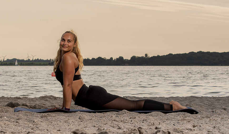 Heraufschauender Hund