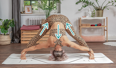 Gegrätschte stehende Vorbeuge Prasarita Padottanasana