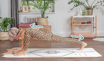 Eidechse Utthan Pristhasana