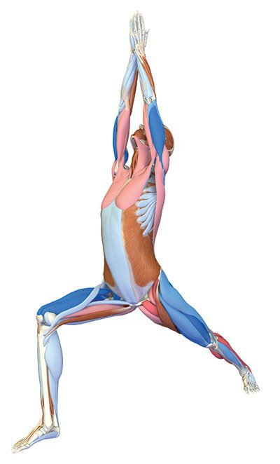 Yoga-Asana Krieger I