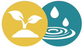 Ayurveda Kapha-Dosha