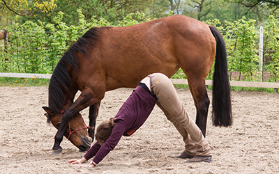 Yoga für Reiter