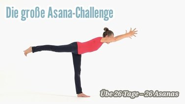Yoga-Programm Die große Asana-Challenge